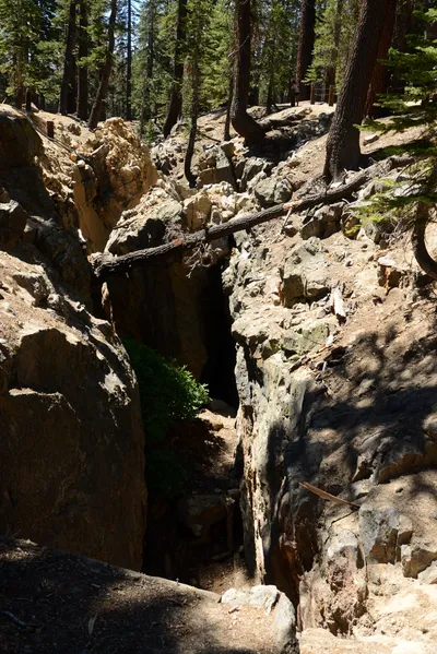 DSC_9978 (Large).JPG